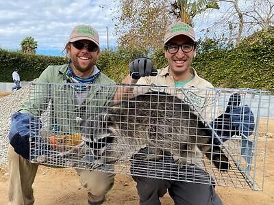 Paterson pest control